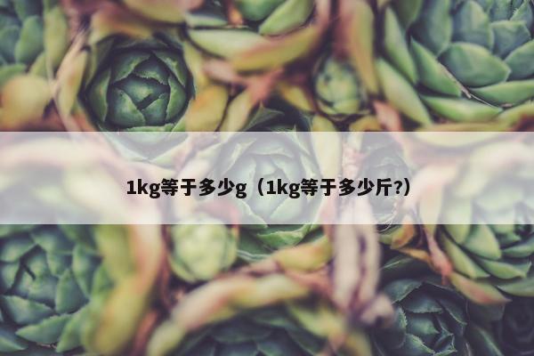 1kg等于多少g（1kg等于多少斤?）