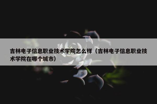 吉林电子信息职业技术学院怎么样（吉林电子信息职业技术学院在哪个城市）