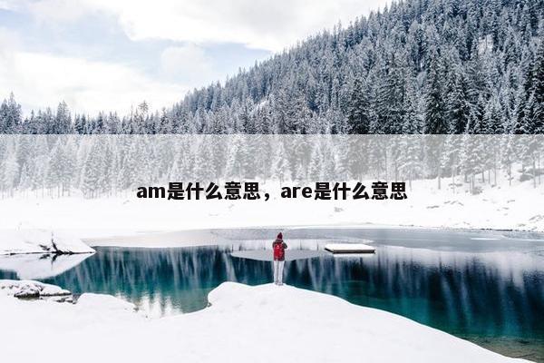 am是什么意思，are是什么意思