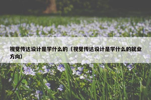 视觉传达设计是学什么的（视觉传达设计是学什么的就业方向）