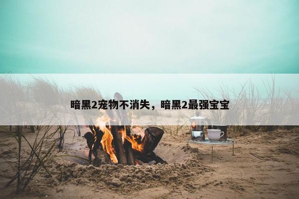 暗黑2宠物不消失，暗黑2最强宝宝