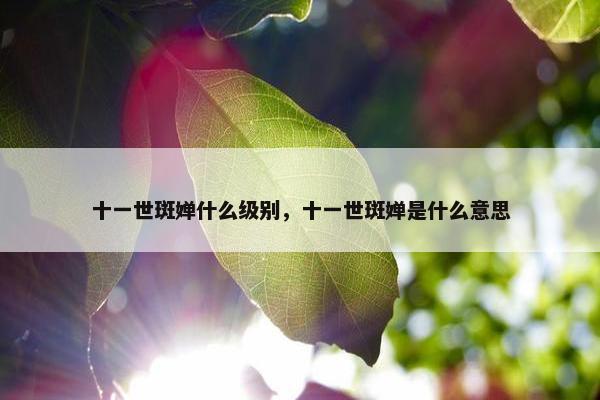 十一世斑婵什么级别，十一世斑婵是什么意思