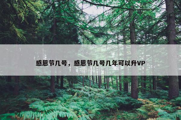 感恩节几号，感恩节几号几年可以升VP