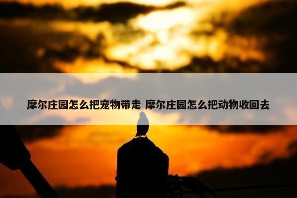 摩尔庄园怎么把宠物带走 摩尔庄园怎么把动物收回去