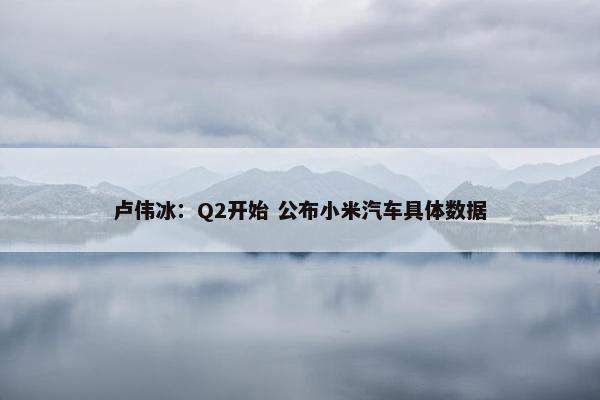 卢伟冰：Q2开始 公布小米汽车具体数据