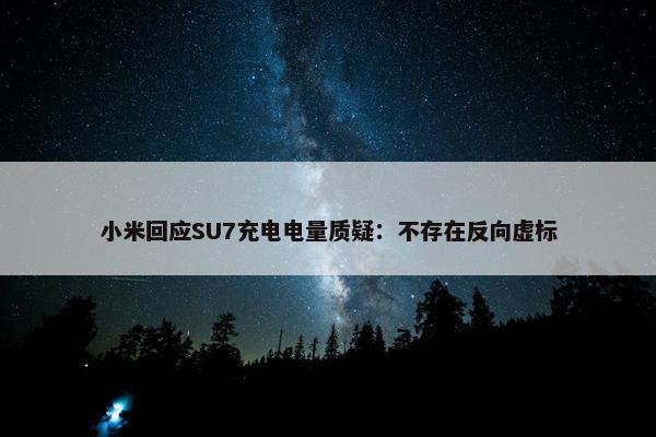 小米回应SU7充电电量质疑：不存在反向虚标