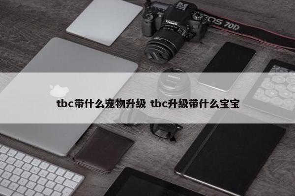 tbc带什么宠物升级 tbc升级带什么宝宝