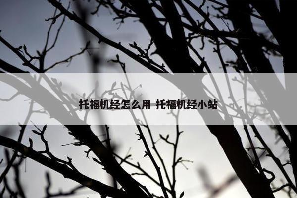 托福机经怎么用 托福机经小站