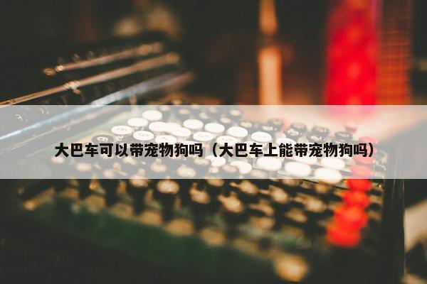 大巴车可以带宠物狗吗（大巴车上能带宠物狗吗）