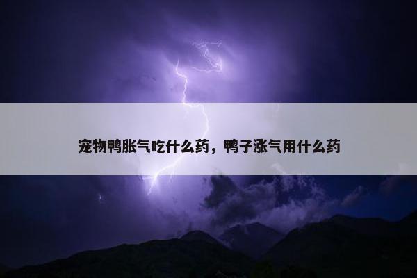 宠物鸭胀气吃什么药，鸭子涨气用什么药