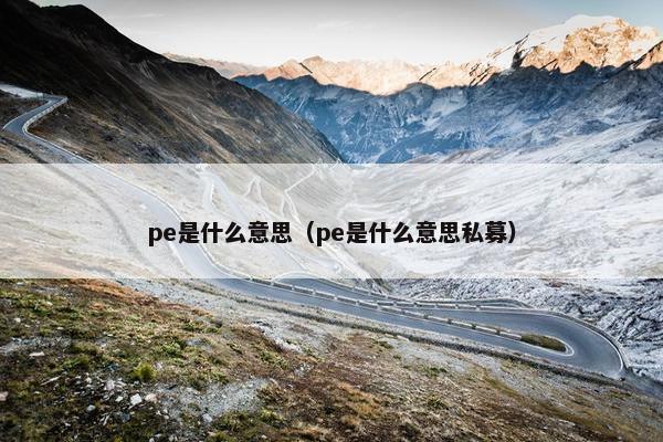 pe是什么意思（pe是什么意思私募）