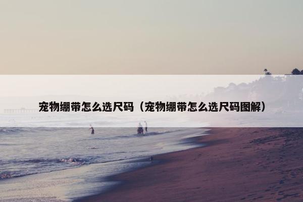 宠物绷带怎么选尺码（宠物绷带怎么选尺码图解）