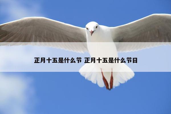 正月十五是什么节 正月十五是什么节日