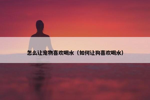 怎么让宠物喜欢喝水（如何让狗喜欢喝水）