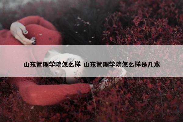 山东管理学院怎么样 山东管理学院怎么样是几本