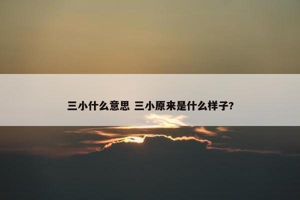 三小什么意思 三小原来是什么样子?