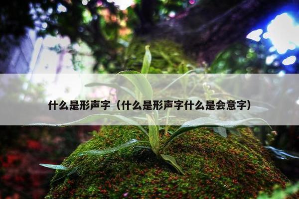 什么是形声字（什么是形声字什么是会意字）