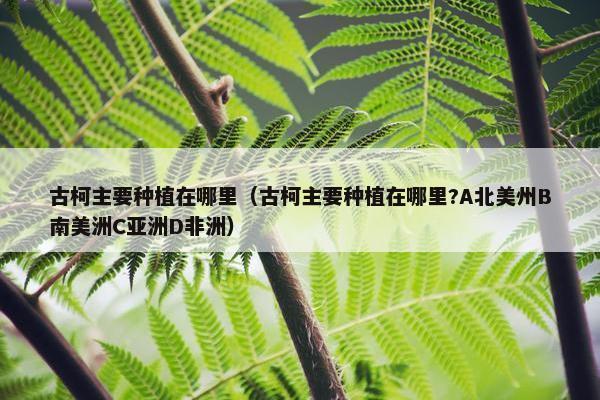 古柯主要种植在哪里（古柯主要种植在哪里?A北美州B南美洲C亚洲D非洲）