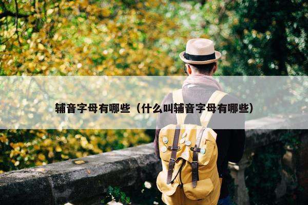 辅音字母有哪些（什么叫辅音字母有哪些）