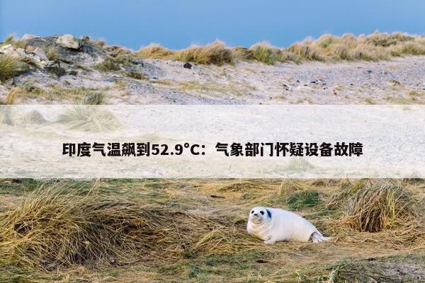 印度气温飙到52.9°C：气象部门怀疑设备故障