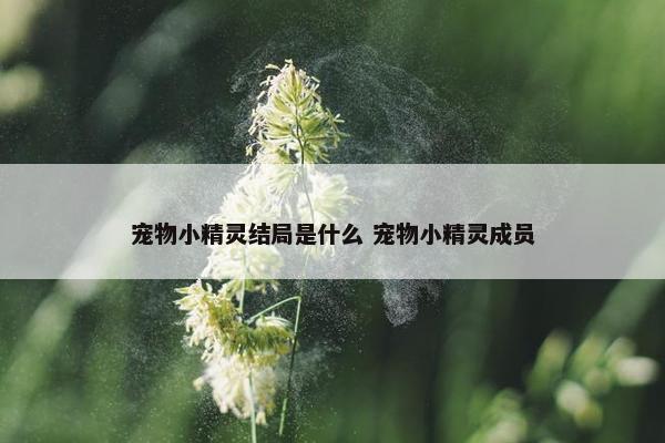 宠物小精灵结局是什么 宠物小精灵成员