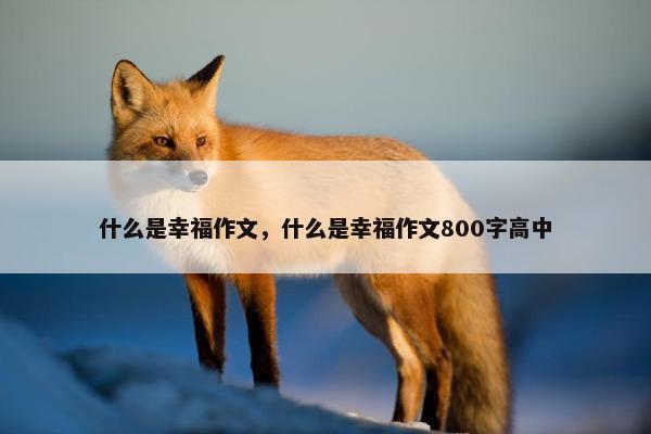 什么是幸福作文，什么是幸福作文800字高中