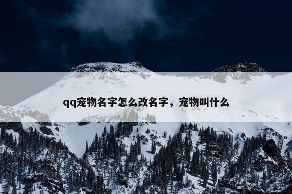 qq宠物名字怎么改名字，宠物叫什么