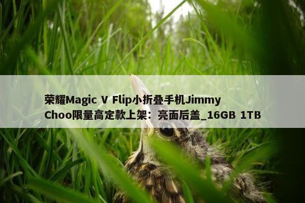 荣耀Magic V Flip小折叠手机Jimmy Choo限量高定款上架：亮面后盖_16GB 1TB