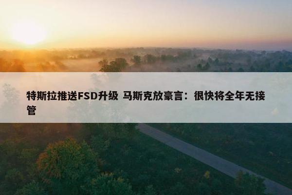 特斯拉推送FSD升级 马斯克放豪言：很快将全年无接管