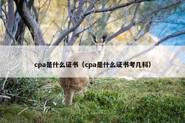 cpa是什么证书（cpa是什么证书考几科）