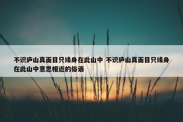 不识庐山真面目只缘身在此山中 不识庐山真面目只缘身在此山中意思相近的俗语