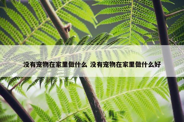 没有宠物在家里做什么 没有宠物在家里做什么好