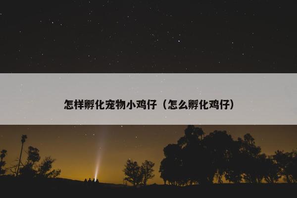 怎样孵化宠物小鸡仔（怎么孵化鸡仔）