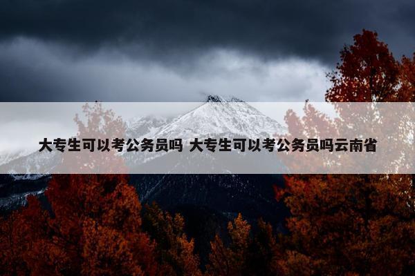 大专生可以考公务员吗 大专生可以考公务员吗云南省