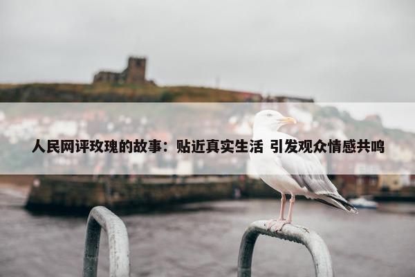 人民网评玫瑰的故事：贴近真实生活 引发观众情感共鸣