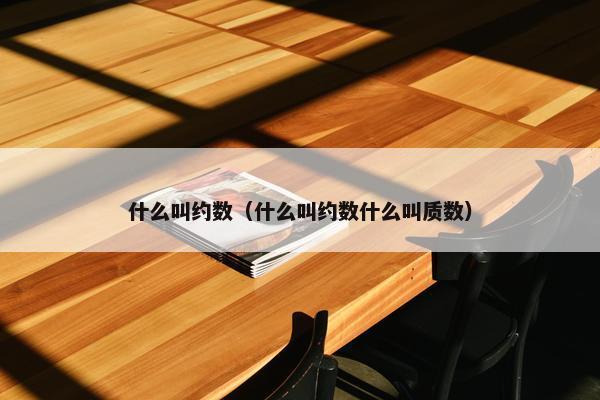 什么叫约数（什么叫约数什么叫质数）