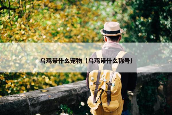 乌鸡带什么宠物（乌鸡带什么称号）