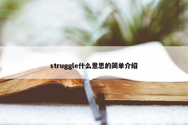 struggle什么意思的简单介绍