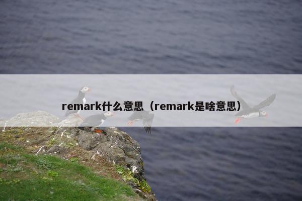 remark什么意思（remark是啥意思）