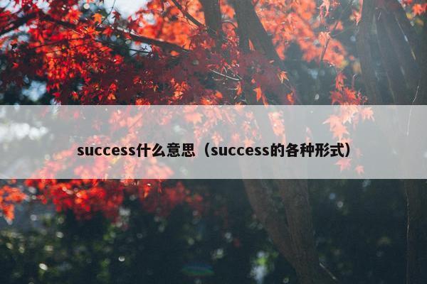 success什么意思（success的各种形式）