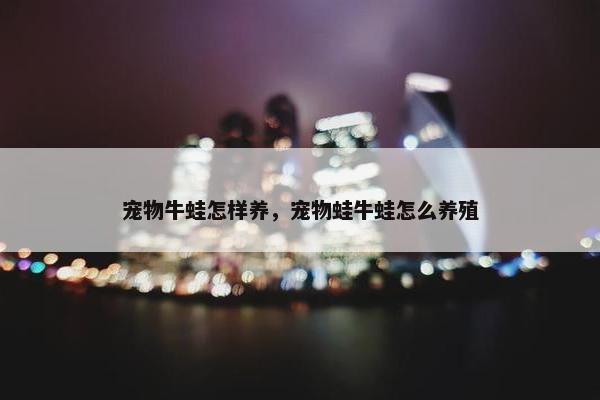 宠物牛蛙怎样养，宠物蛙牛蛙怎么养殖