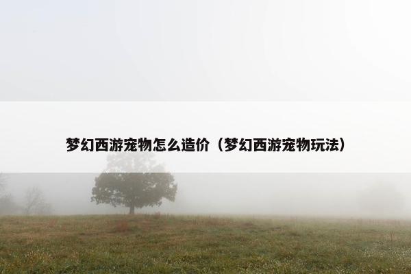 梦幻西游宠物怎么造价（梦幻西游宠物玩法）