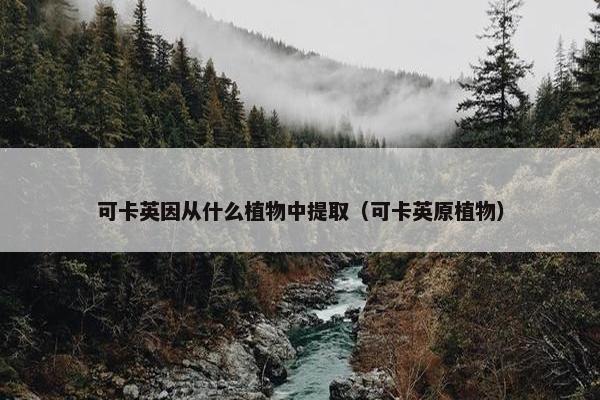 可卡英因从什么植物中提取（可卡英原植物）