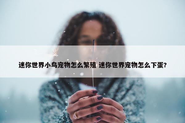 迷你世界小鸟宠物怎么繁殖 迷你世界宠物怎么下蛋?