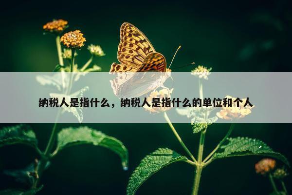 纳税人是指什么，纳税人是指什么的单位和个人