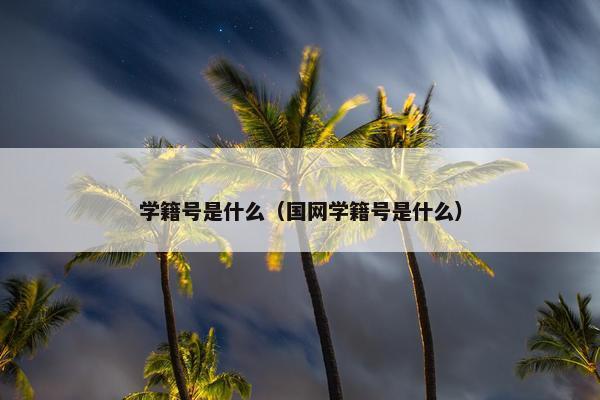 学籍号是什么（国网学籍号是什么）