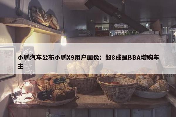 小鹏汽车公布小鹏X9用户画像：超8成是BBA增购车主