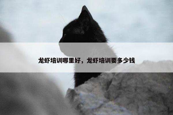 龙虾培训哪里好，龙虾培训要多少钱