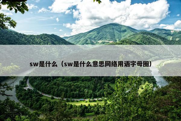 sw是什么（sw是什么意思网络用语字母圈）