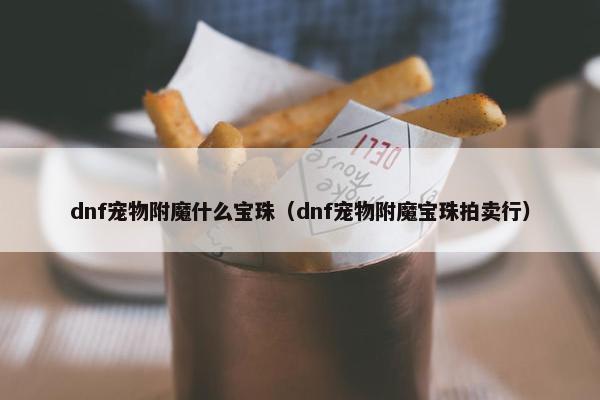 dnf宠物附魔什么宝珠（dnf宠物附魔宝珠拍卖行）